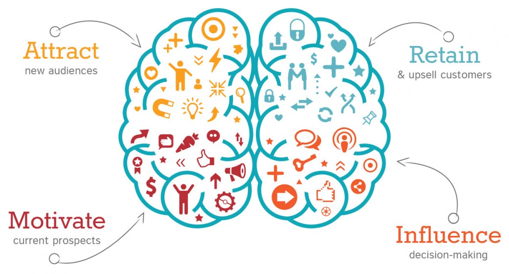 tme-brain-graphic tme-brain-graphic